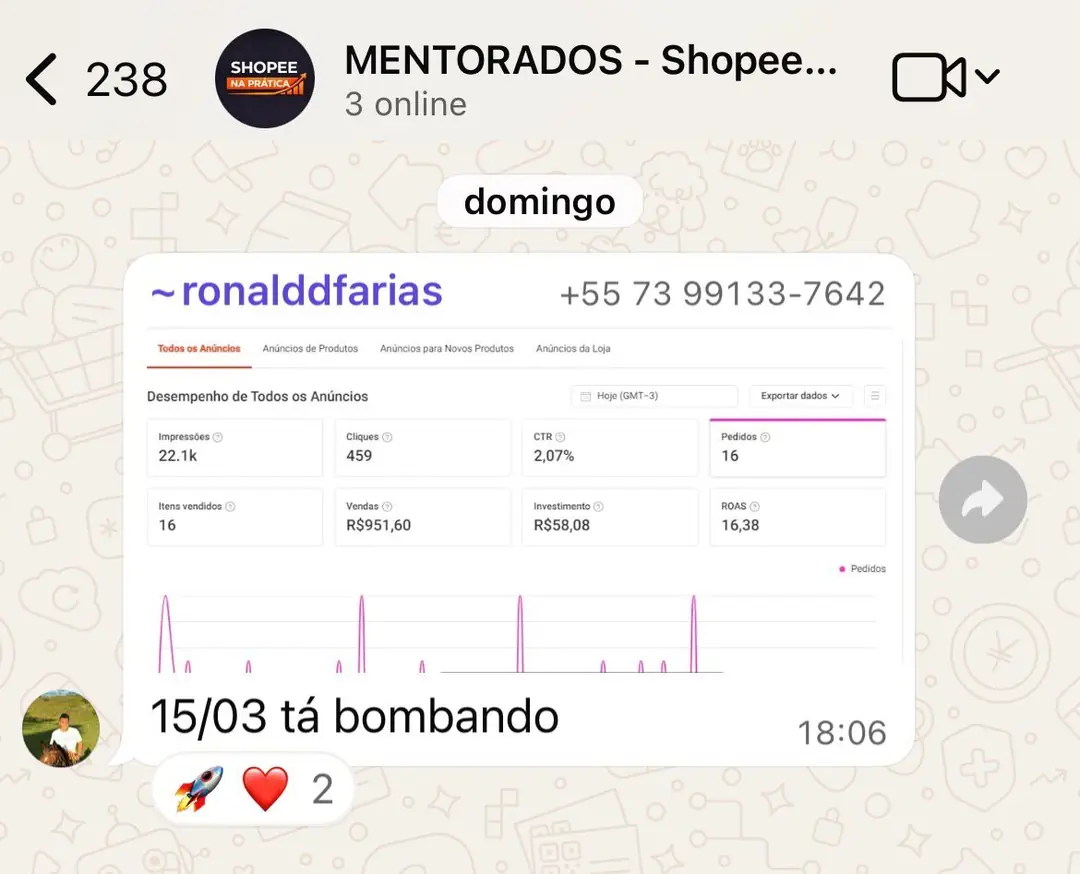 Aluno faturando R$ 951 em um domingo com anúncios